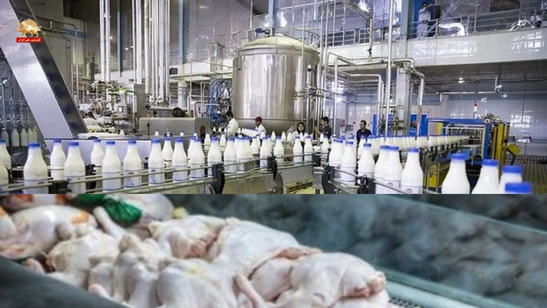 افزایش مستمر قیمت لبنیات و قیمت مرغ